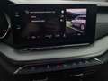 Skoda Octavia Break -22% 2.0 TDI 115cv+MIRRORLINK+CAM+Opts Beige - thumbnail 22