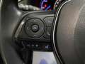 Toyota RAV 4 RAV4 Hybrid 220H 4x2 Advance Gris - thumbnail 10