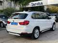 BMW X5 xDrive25d Business Білий - thumbnail 4
