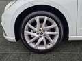 SEAT Ibiza 1.5 TSI DSG FR +Kamera+LED+Leichtmetall+ Blanc - thumbnail 15