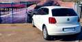 Volkswagen Polo V 1.2i 70Cv Confortline 03-2014 - thumbnail 3