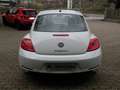 Volkswagen Beetle 1.2 TSI Design BlueMotion Technology Bianco - thumbnail 7