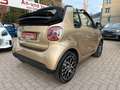 smart forTwo fortwo Cabrio EQ*EXCL*60kW*LEDER*SHZ*KAM*22kW Gold - thumbnail 15