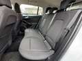 Ford Focus 1.5 EcoBlue 120 CV SW Titanium Bianco - thumbnail 14
