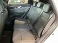 Renault Austral 1.3 TCe Mild-Hybrid Equilibre,SITZHEIZUNG,18ZOLL Biały - thumbnail 14