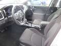 Kia Ceed SW / cee'd SW Sportswagon 1.6D Spirit Allwetter Navi Soundsystem Blanc - thumbnail 8