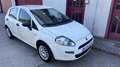 Fiat Punto Punto 1.4 Gasolina/GLP Blanco - thumbnail 3