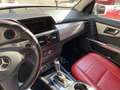 Mercedes-Benz GLK 220 GLK 220 CDI BlueEfficiency 4Matic (204.984) Weiß - thumbnail 6