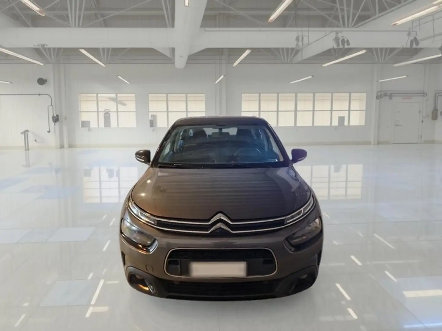 Citroen C4 Cactus 1.5 bluehdi Shine s&s 100cv - 2