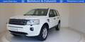 Land Rover Freelander 2.2 TD4 SW S Beyaz - thumbnail 1