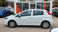 Fiat Punto 1.2 8v Easy 51kW (69CV) S&S Gasolina Blanco - thumbnail 9