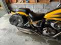 Suzuki VZ 800 Marauder žuta - thumbnail 6