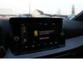 SEAT Ibiza SEAT IBIZA 1.0 TSI 115CH SPECIAL EDITION - CARPLAY Gris - thumbnail 36